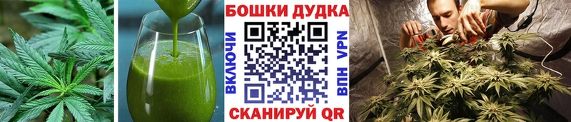 сайты даркнета Telegram  Новочебоксарск  Cannafood конопля 