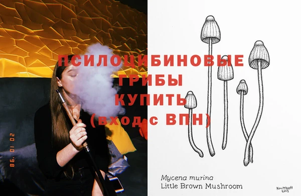 стафф Кукмор