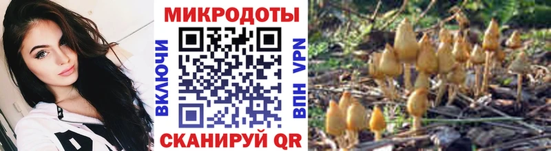 mega Новочебоксарск Галлюциногенные грибы Psilocybine cubensis